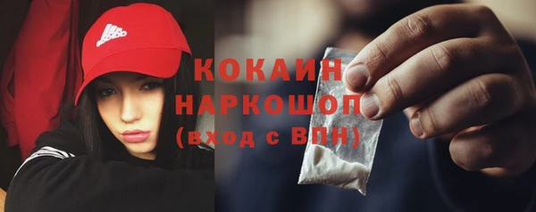 гидра Алзамай