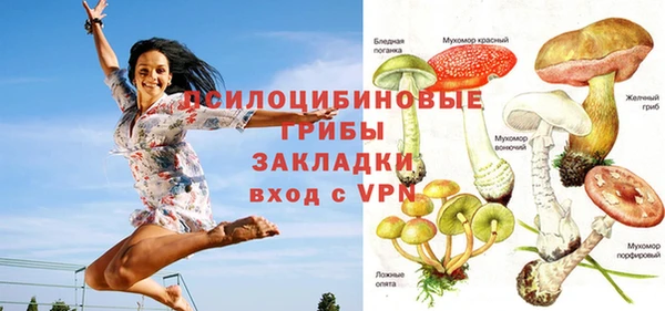 метамфетамин Алексеевка