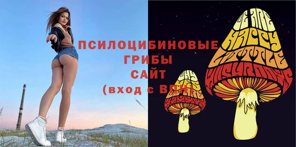 метамфетамин Алексеевка